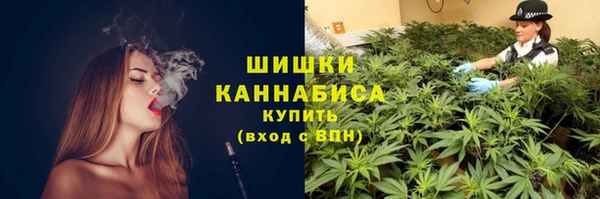 PSILOCYBIN Михайлов