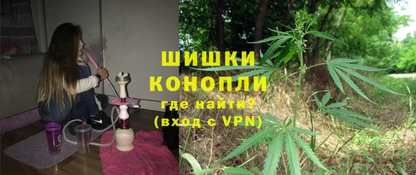 PSILOCYBIN Михайлов