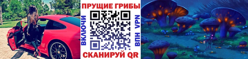 Галлюциногенные грибы Cubensis  магазин продажи наркотиков  Донецк 