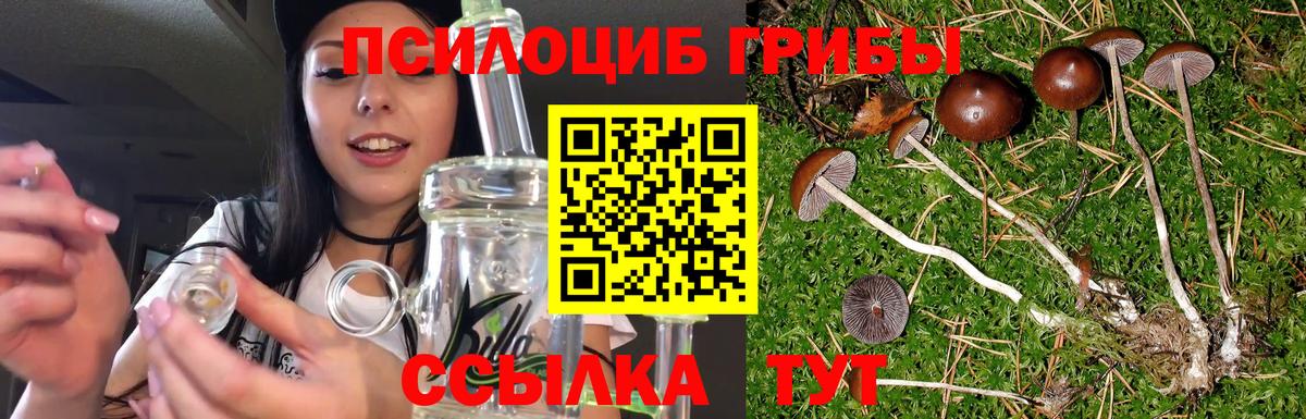 Псилоцибиновые грибы мицелий  Вход с VPN  Донецк 